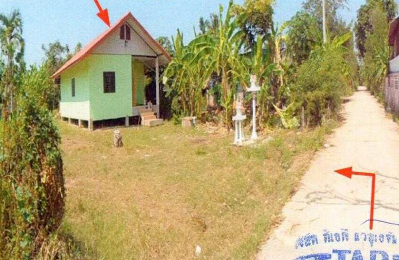 หนองพระ วังทอง พิษณุโลก